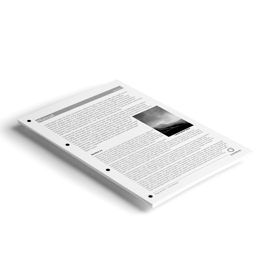 250 ミリリットルバルク黒詰め替え染料インク HP エプソンキヤノンブラザーインクジェットプリンタカートリッジ CISS オフィス学校ホームドキュメント印刷