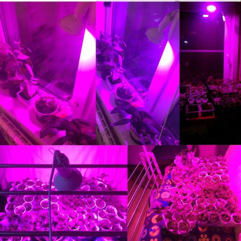 Żarówki Led do uprawy kwiatów E27 Pełne spektrum czerwone światła uv do uprawy Lampa do uprawy w pomieszczeniach Hydroponika Growbox Warzyw Szklarnia