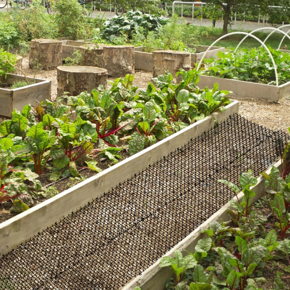 Làm Vườn Mèo Scat Thảm Đuổi Thảm Chống Cát Với Châm Chích Que Gai Dây Giữ Chó Mèo Đi Đào Gây Hại điều Khiển Cung Cấp
