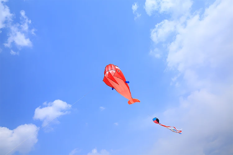 Envío Gratis, gran cometa de delfines volando, pipas suaves, línea de nailon ripstop, juguetes para exteriores, fábrica de cometas de pulpo, pipas inflables alienígenas