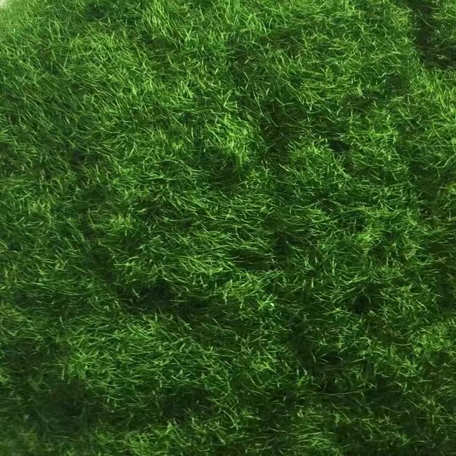 静的草粉末,30g,3mm,造園,電車,鉄道レイアウト,ビルディング材料,ブロック,コンポーネント,掘削機