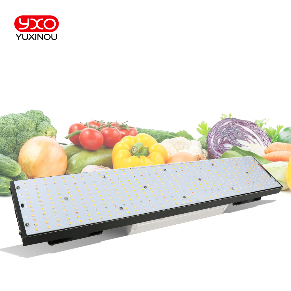 Meanswell-植物栽培用LEDライト,Sam-sungLM301H w,240w,480w,720 k/3000k,660nm uv,植物栽培ボックス,3500