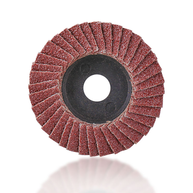 XCAN Chà Nhám Bánh Xe 5 Chiếc 2Inch 50Mm Nỉ Đánh Bóng Đĩa Đá Mài Lưỡi Cho Máy Mài Góc 80 Nhám mài Mòn Dụng Cụ Chà Nhám Đĩa