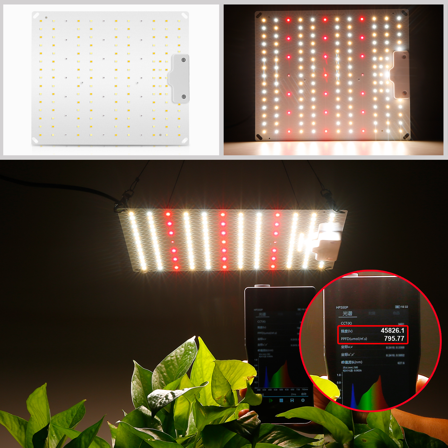 Samsung LM281B Quantum Board LED-Wachstumslicht 500 W 600 W 700 W 800 W Hose Vollspektrum-Phyto-Lampe für Hydrokultur-Gewächshäuser im Innenbereich
