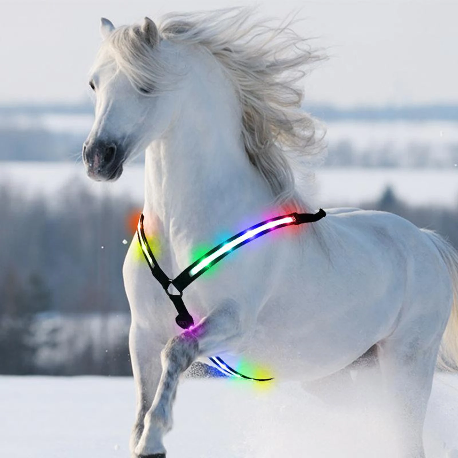 LED Pferde Brust Kragen Zaum Halter Neon Lichter Hohe Sichtbarkeit Tack für Nacht Reiten Sicherheit Reit Ausbildung