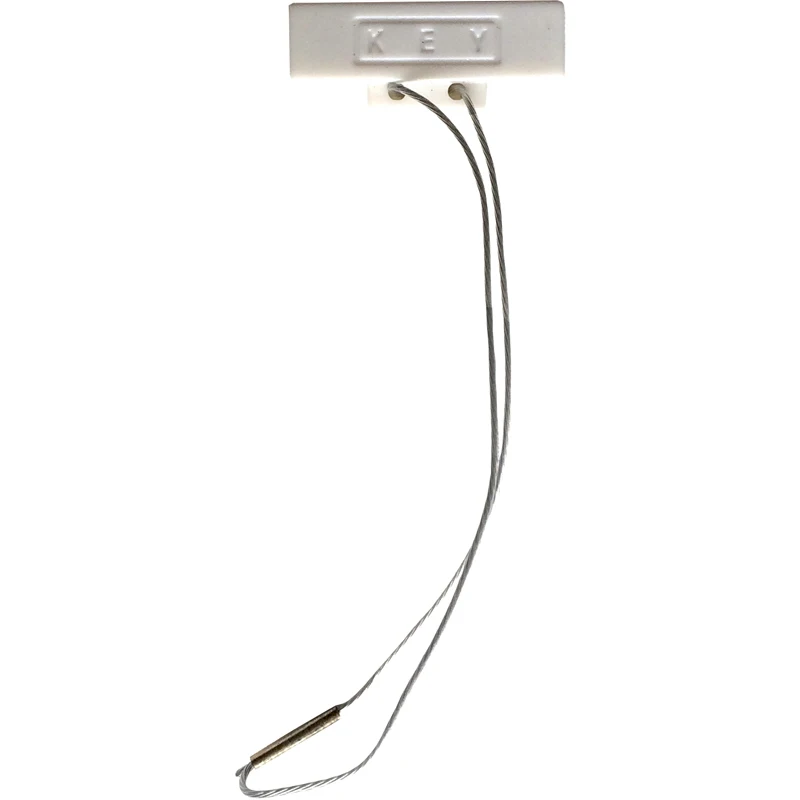 Crane remote control safety magnetic key for F21E1B F21-E1B