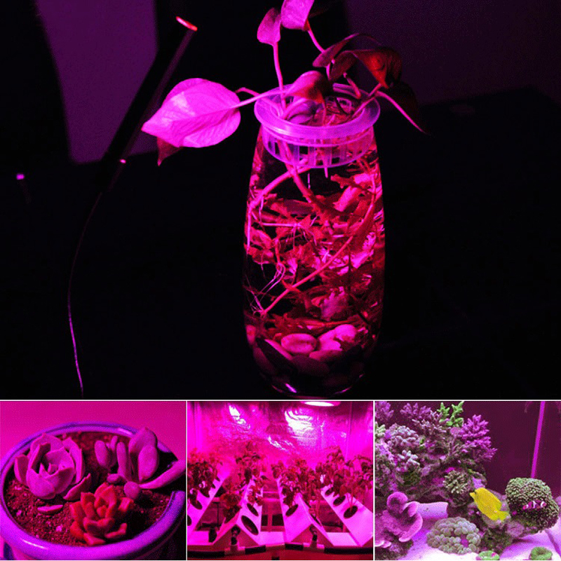 COB LEDชิปPhytoโคมไฟเต็มสเปกตรัมAC 220V 10W 20W 30W 50Wสําหรับในร่มต้นกล้าปลูกและดอกไม้Growthแสง