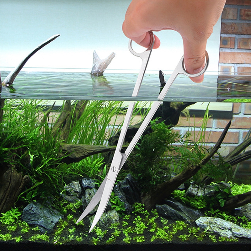 Tesoura de onda em aço inoxidável, pinça de aquário para plantas, ferramentas curvas para tanque de peixes