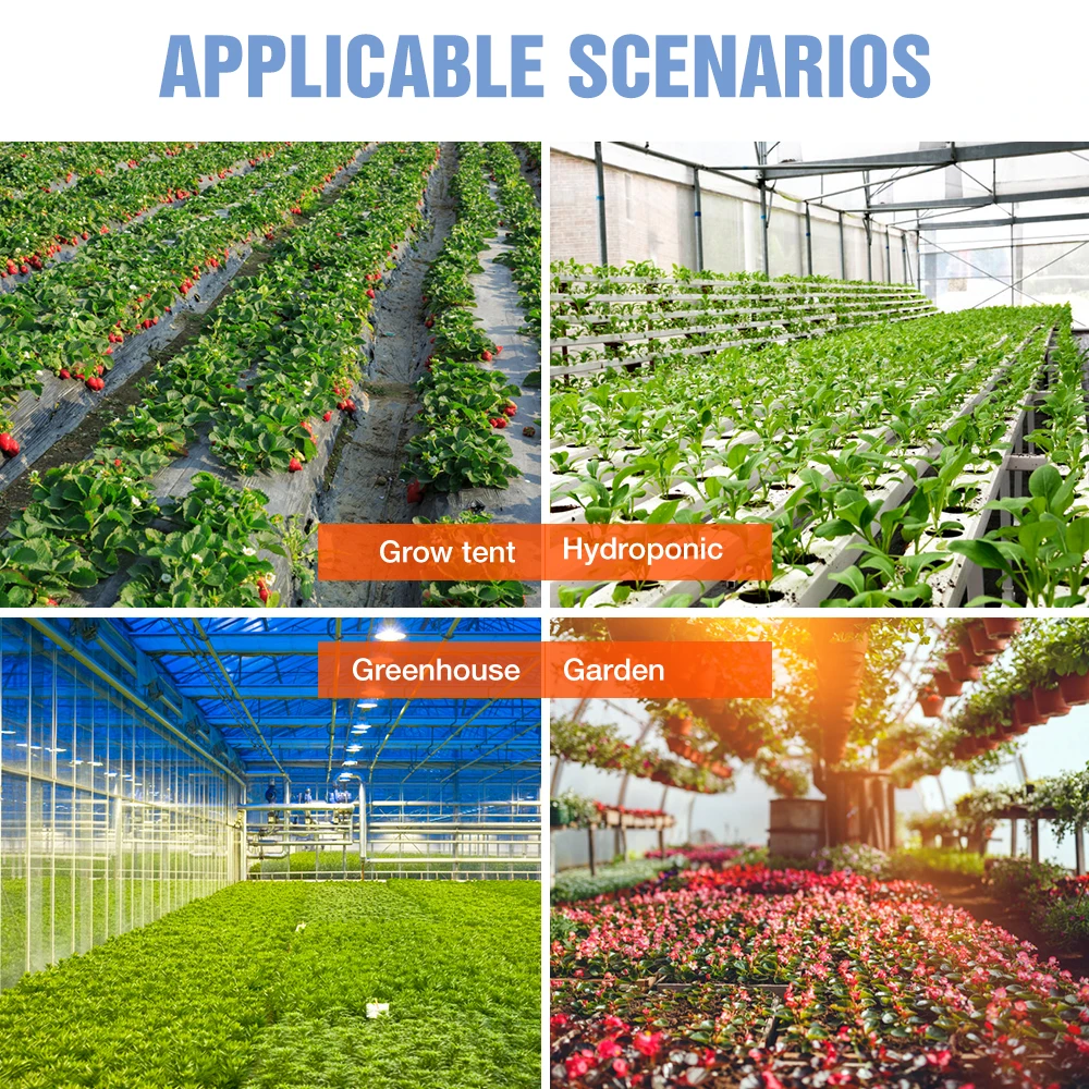 5000W QUANTUM BOARD LED Grow Light Phyto โคมไฟเต็มสเปกตรัม LED พืชหลอดไฟในร่ม 4000W Phytolamp สําหรับต้นกล้าดอกไม้ Fitolamp