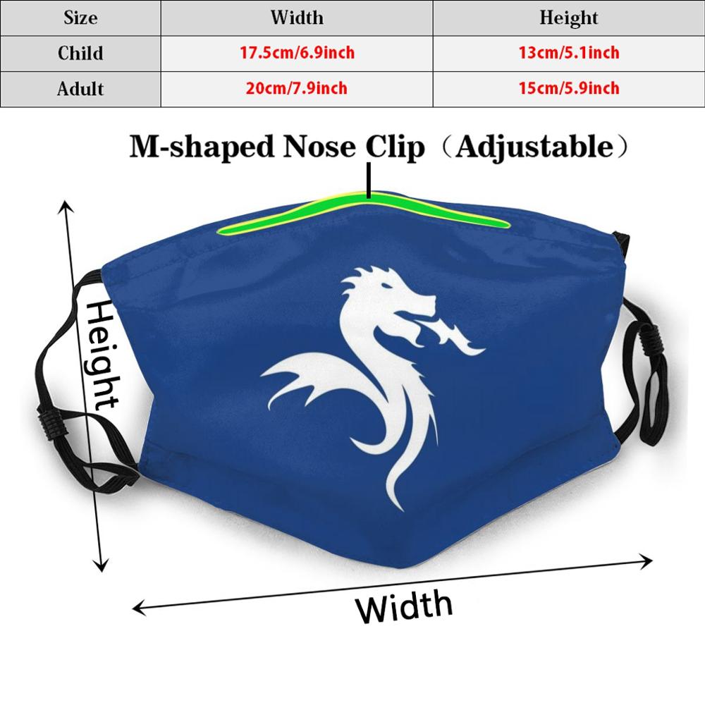 Маска для футбольной команды, 1893, крест, Драгон, Драгон