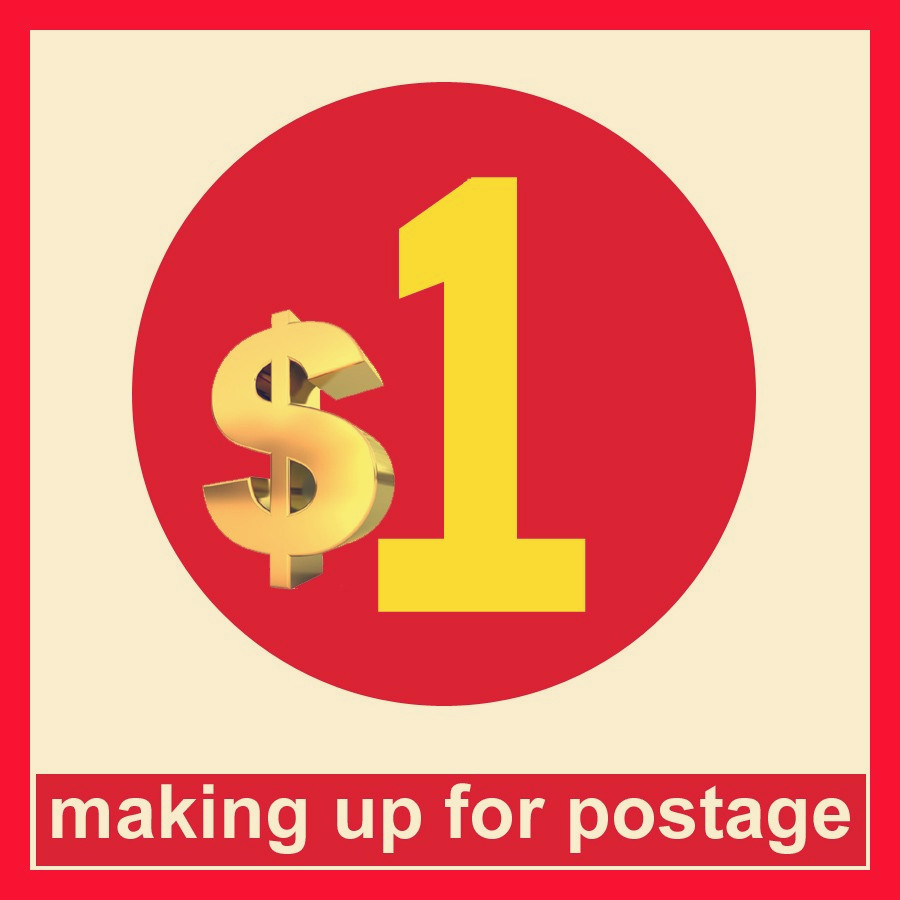 please do not pay for this link, it is only for pay the extra shipping cost we will not ship unless seller tell you pay for this