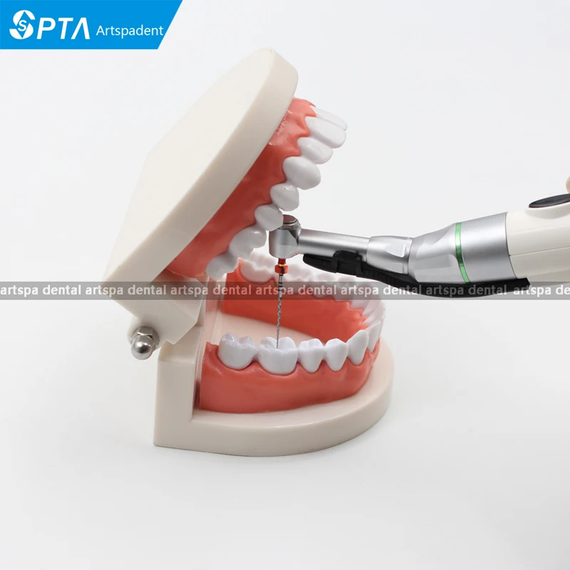 SPTA 16:1 コントラアングル低速タービンハンドピース往復根管ファイル歯内治療歯科材料