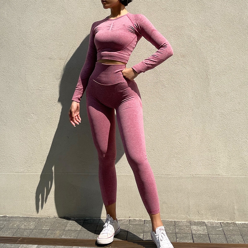 Conjunto de Yoga sin costuras para mujer, ropa de entrenamiento, Top corto de manga larga para gimnasio, mallas de cintura alta, ropa deportiva para Fitness, traje deportivo, 2 uds.