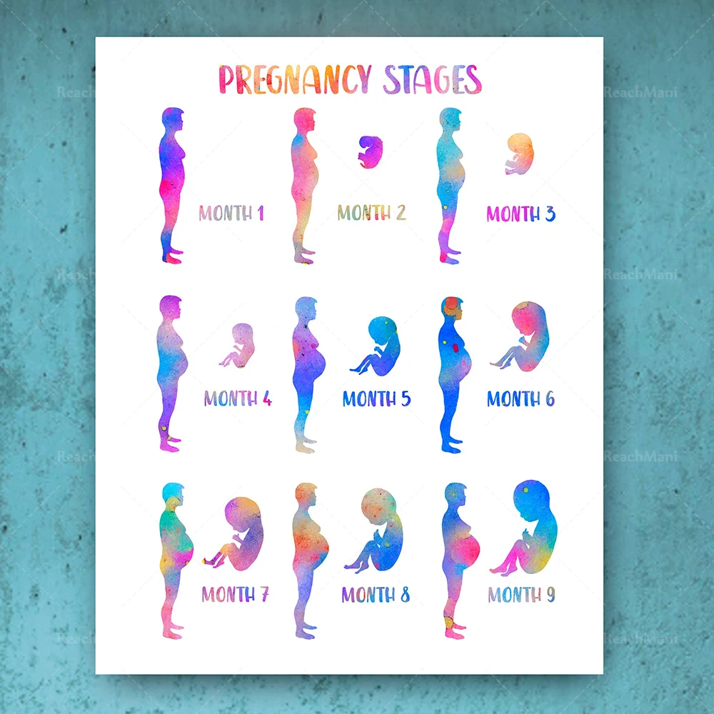 Poster Cat Air Kehamilan Wanita Hamil Mencetak Lukisan Janin Hadiah Rahasia Kehamilan Hadiah Ginekolog