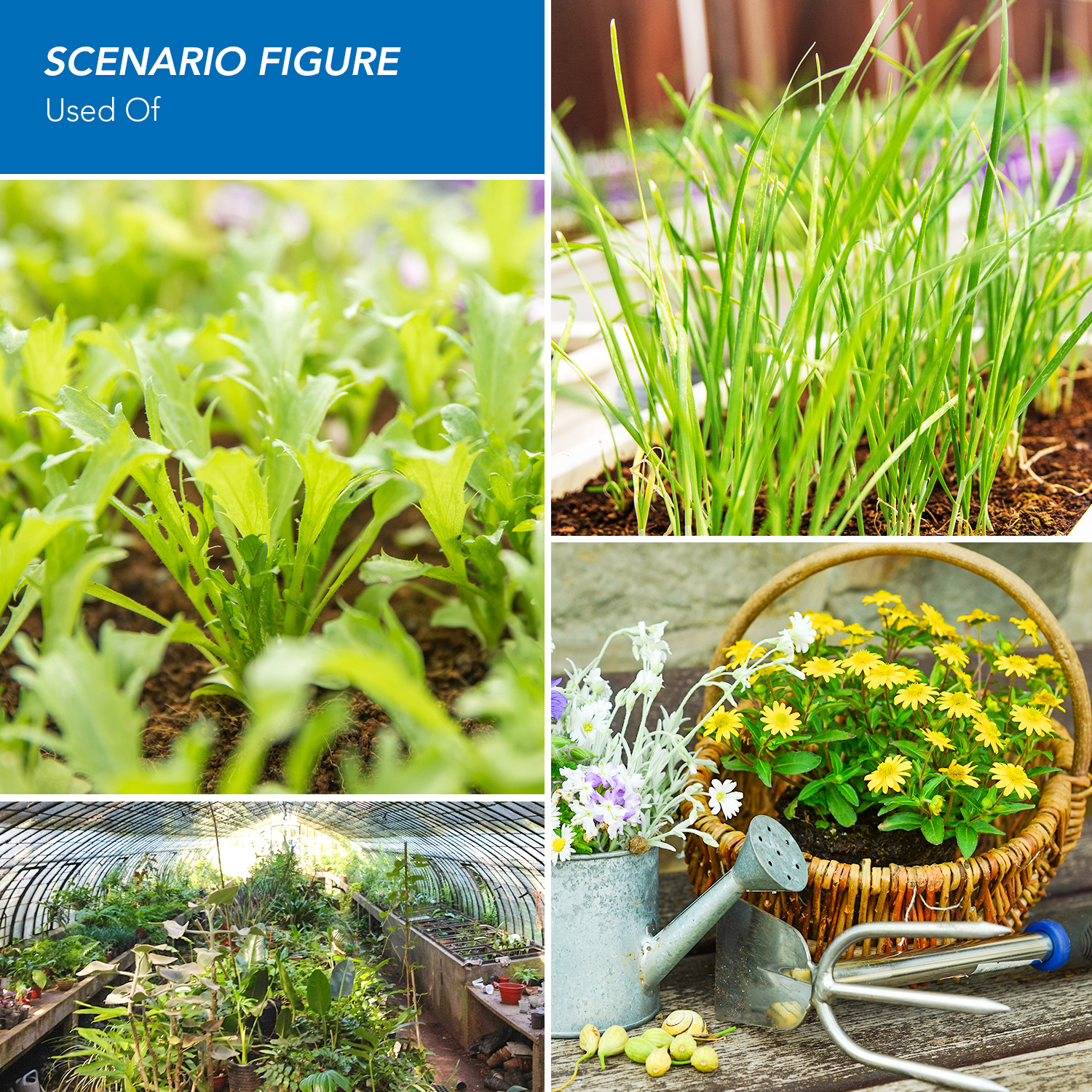 E27 水耕成長ライト E14 Led 成長電球 GU10 MR16 B22 220V 3 ワット 4 ワット 5 ワットフルスペクトル花植物水耕栽培ランプ