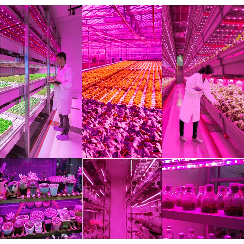 LED Grow Light Spectrumเต็มUSB Grow Light Strip 2835 LED Phytoโคมไฟสําหรับในร่มเมล็ดดอกไม้Hydroponicปลูกโคมไฟ