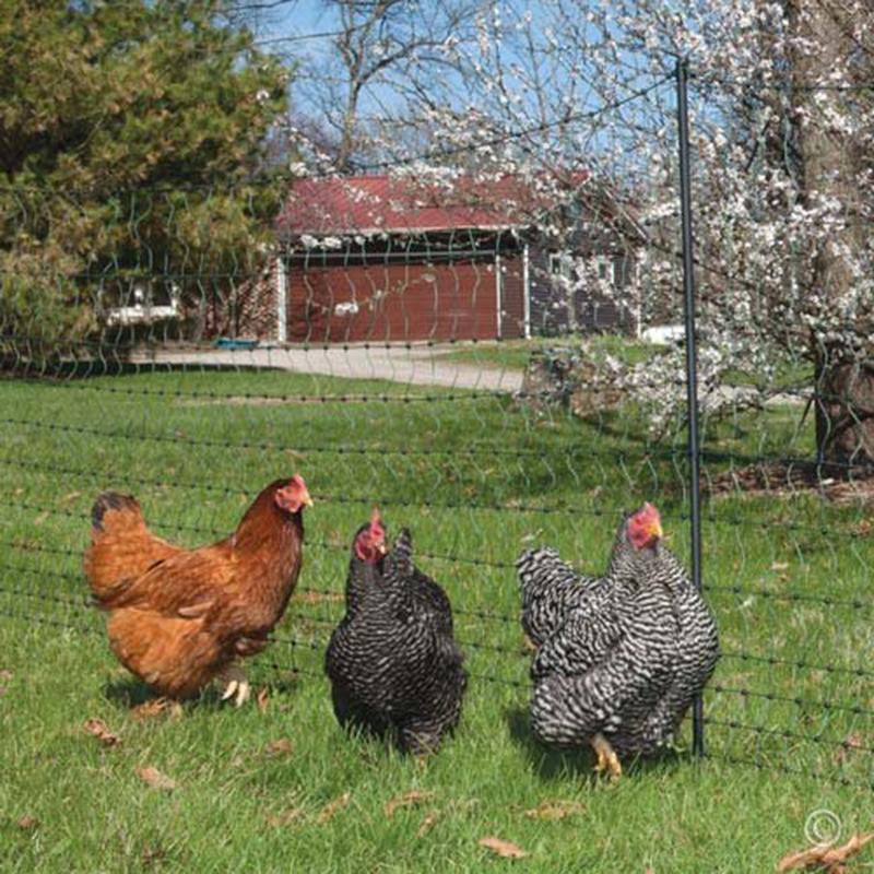 Heavy Anti Bird Netting Net Garden Fence and Crops Protective Fencing Mesh Anti Bird Deer Cat Dog Chicken Net  Fishing Net