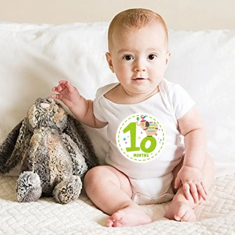 12 Động Vật Tháng Miếng Dán Cho Bé Chụp Ảnh Kỷ Niệm Số Thẻ Cột Mốc Tưởng Niệm Miếng Dán Sơ Sinh Hình Ảnh Cho Bé Đạo Cụ