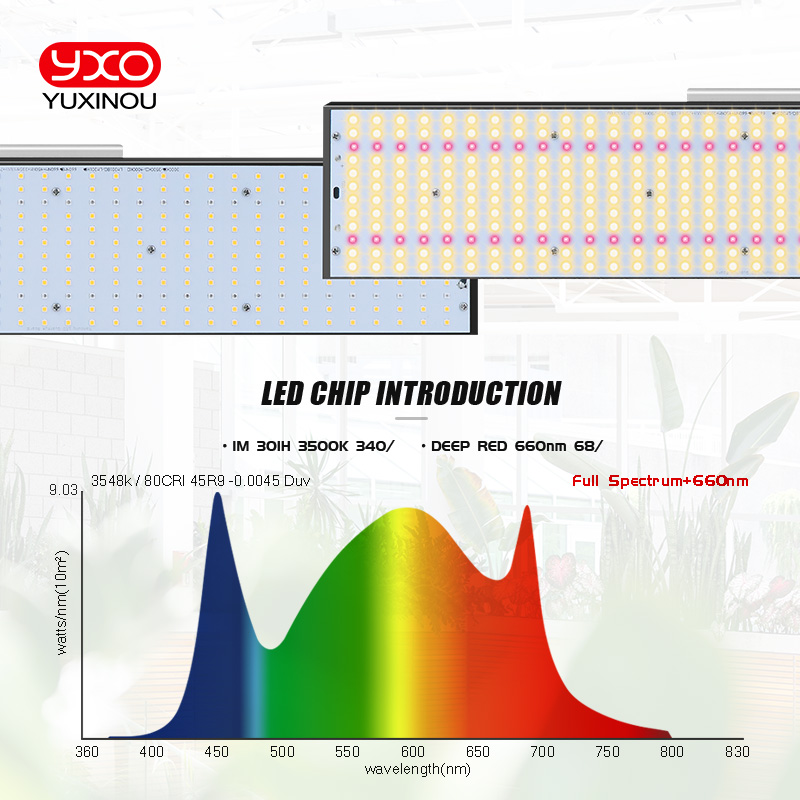 LED 成長ライト Growbox Sam-ng LM301H 240 ワット 480 ワット 720 ワット水耕ランプ植物用成長テント温室照明野菜とブルーム