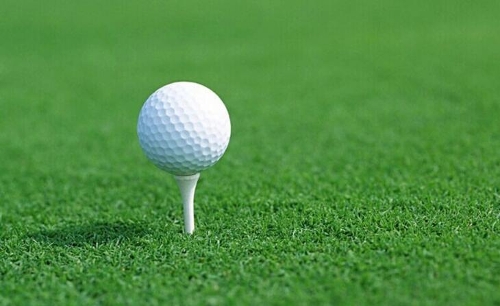 (50 шт.) фотоаксессуары для гольфа с подушкой диаметром 70 мм