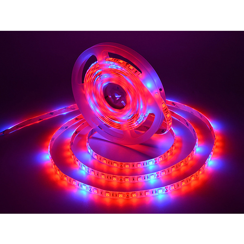 LED Grow Strip 5M/ม้วนสีแดงกันน้ำ Blue Phyto 300LEDs 12V 5050ชิป Growth ไฟ fitolamp สำหรับโรงงานดอกไม้ในร่มโคมไฟ