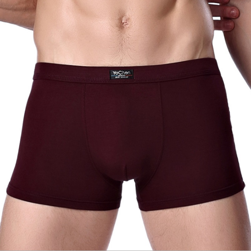 Bragas masculinas de bambú, ropa interior Sexy para hombres, Cuecas Boxer, nuevos calzoncillos Boxer de moda, ropa interior para hombres, 4 unids/lote, envío gratis