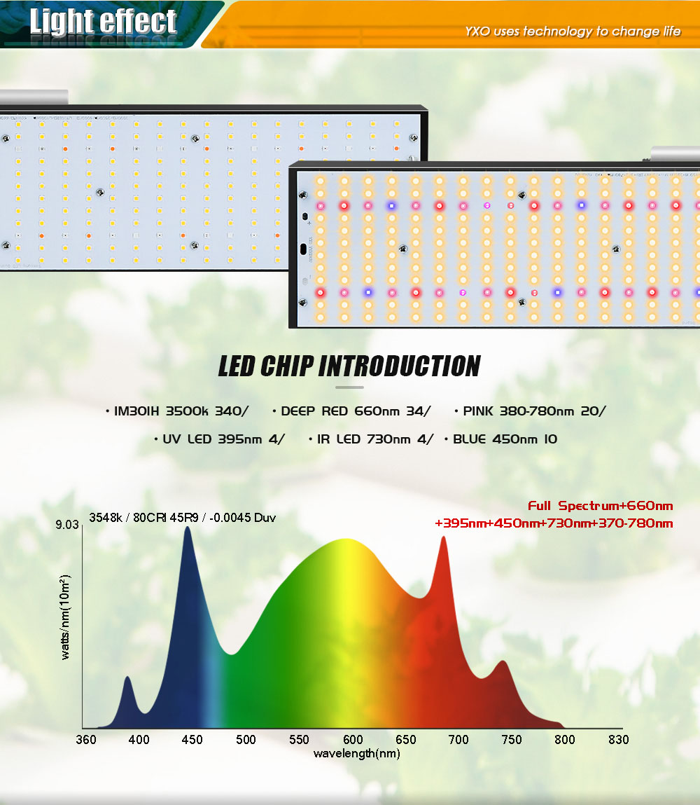 LED 成長ライト Growbox Sam-ng LM301H 240 ワット 480 ワット 720 ワット水耕ランプ植物用成長テント温室照明野菜とブルーム