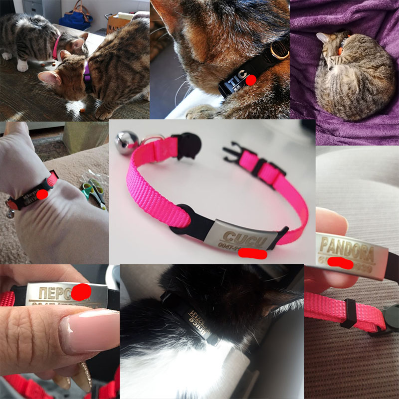 Cá Tính ID Tag Nơ Đeo Cổ Chuông Khắc An Toàn Ly Khai Chó Nhỏ Nylon Có Thể Điều Chỉnh Dành Cho Chó Con Mèo Con Vòng Cổ