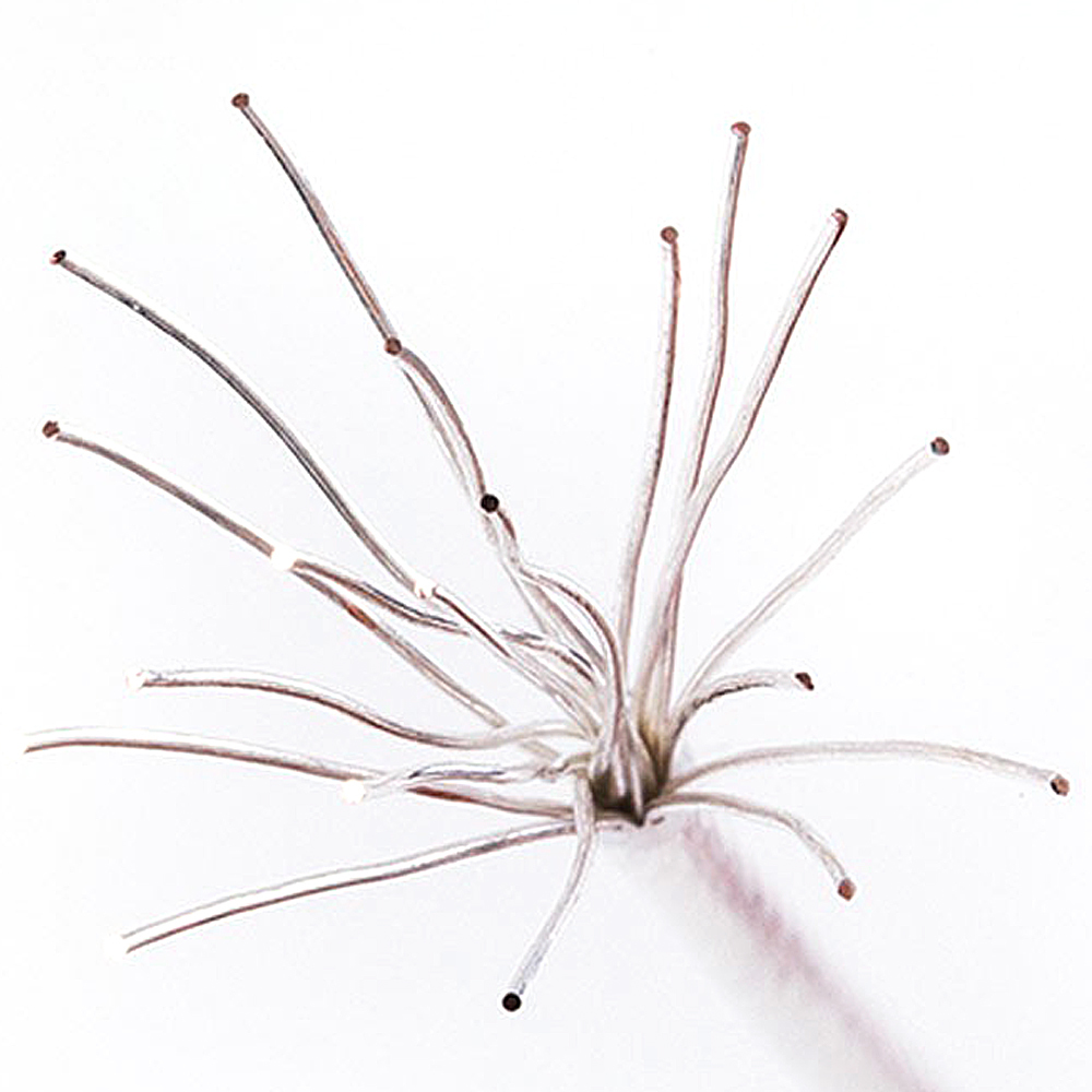 コーティングされた銀メッキ銅線大容量高温 1/2/5 メートルギアボックスエアガン AEG 狩猟撮影ペイントボールアクセサリー