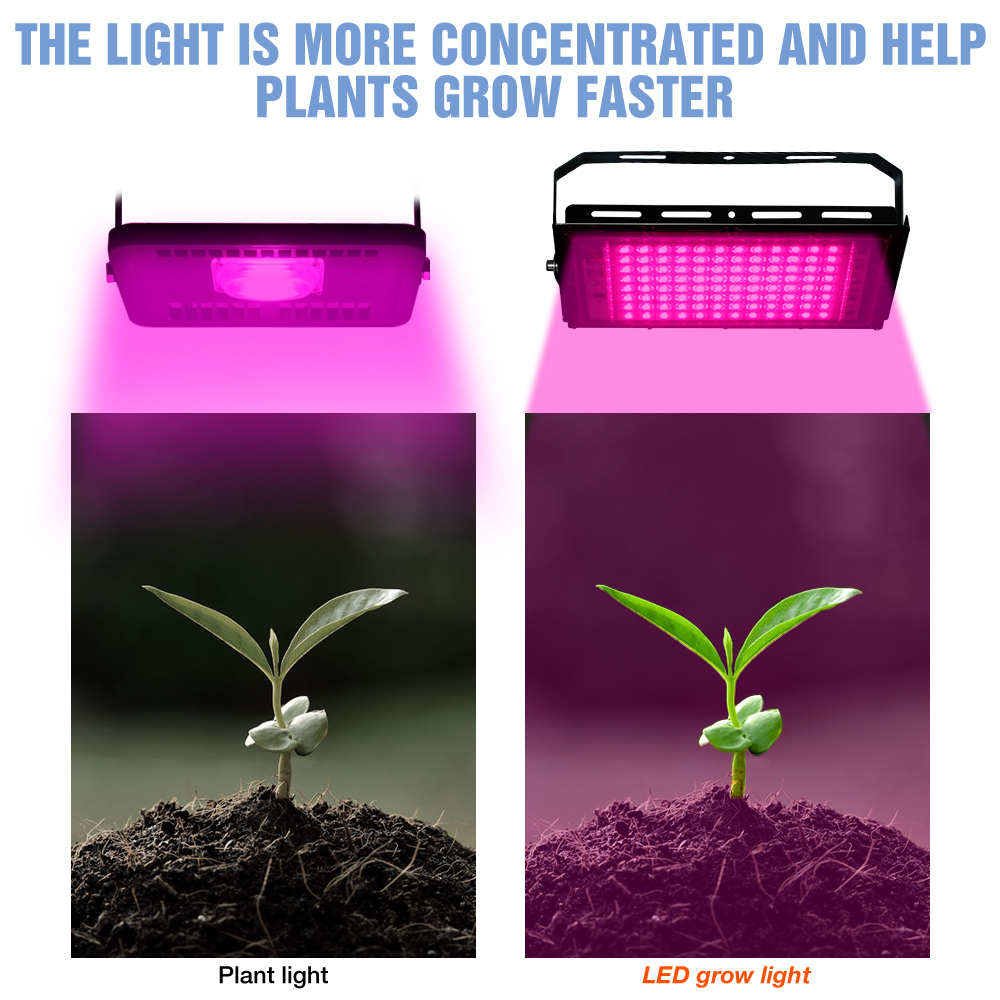 フィト-植物成長ランプ,200W,フルスペクトル,水耕栽培用園芸照明,温室,花,種子