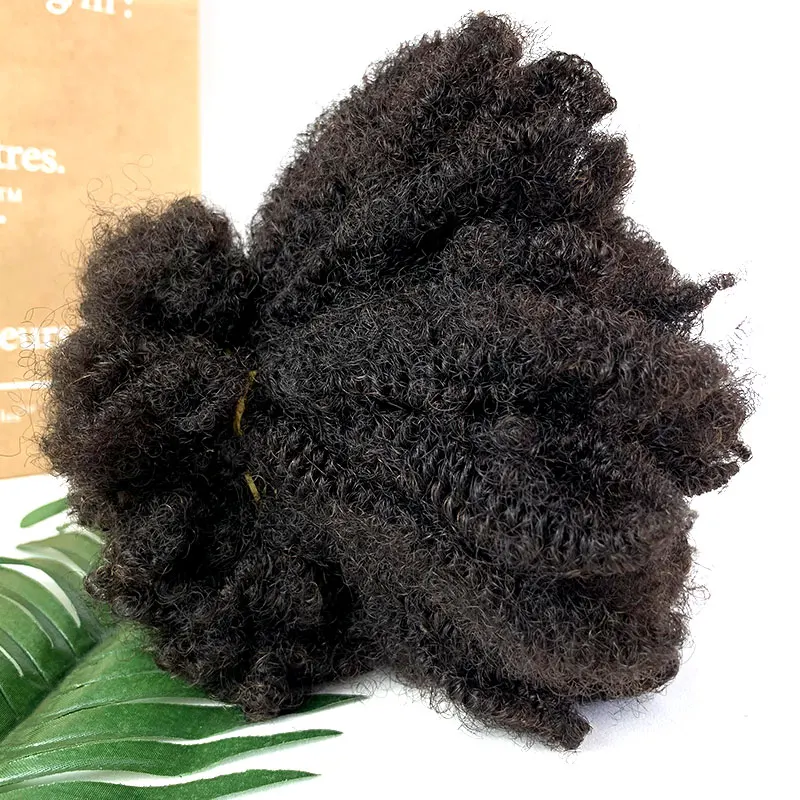 Afro Kinky Curly ล็อคต่อผม Microlocs มนุษย์ Braiding ผมผมสําหรับ Braiding Double Drawn กล่องโครเชต์ Braids 4C