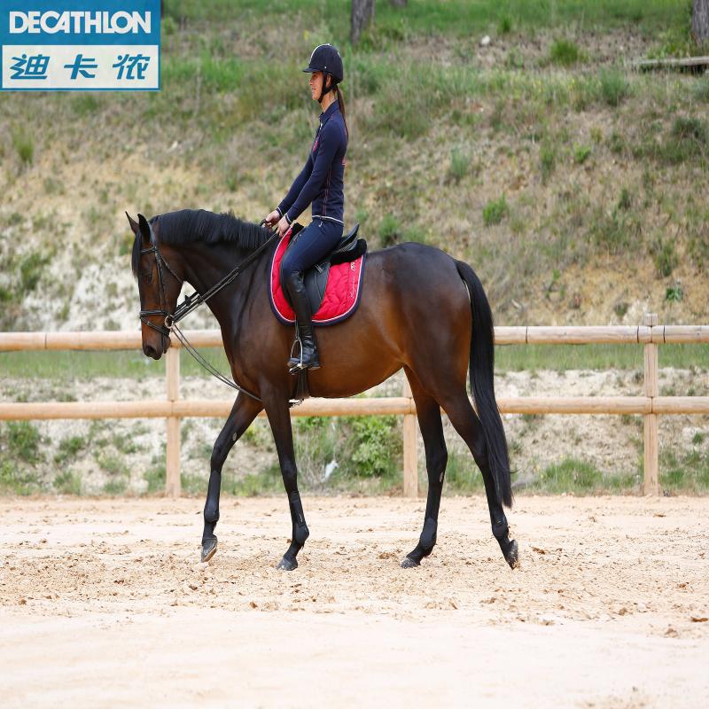 Zaumzeug Pull Horse Lead Rein Rope Equestrian Reitgeschirr Halter