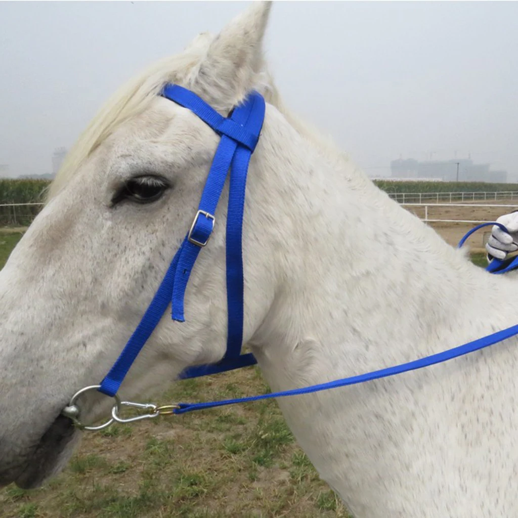 Durable Pferd Zaumzeug Pferd Rein Kopfstück Verdickt Halter Reit Getriebe Pferd Rein Harness Headstalls Abnehmbare Trense