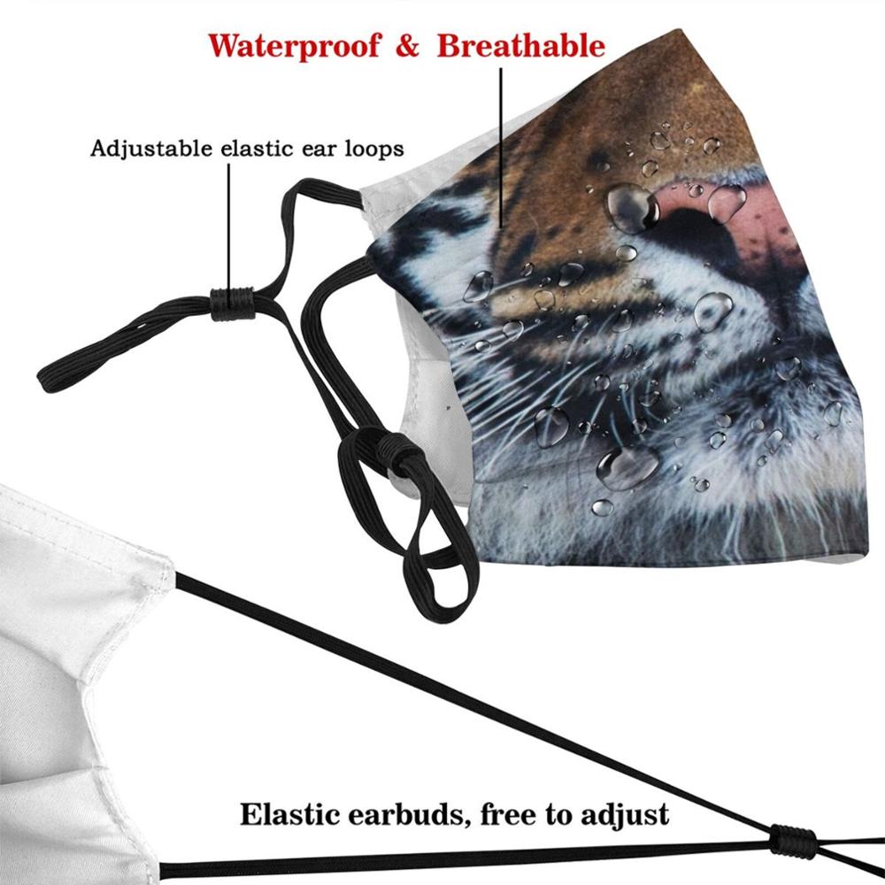 Mascarilla facial de algodón lavable para el cuidado Personal, máscara con filtro Pm2.5 personalizada para animales salvajes