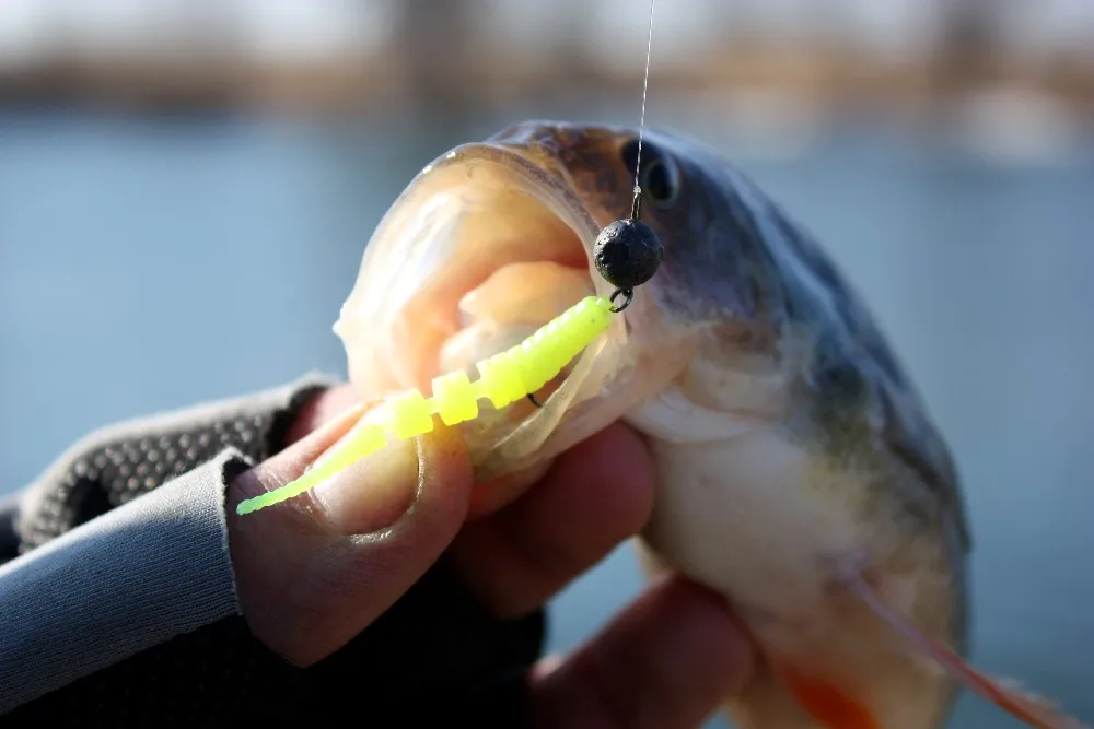 KESFISHING Jig Con Sâu Mồi Polaris 42Mm Pesca Bass Cá Hồi Mùa Đông Băng Phun Muối Và Mùi Hương Miễn Phí Vận Chuyển Mềm Mại mồi Câu