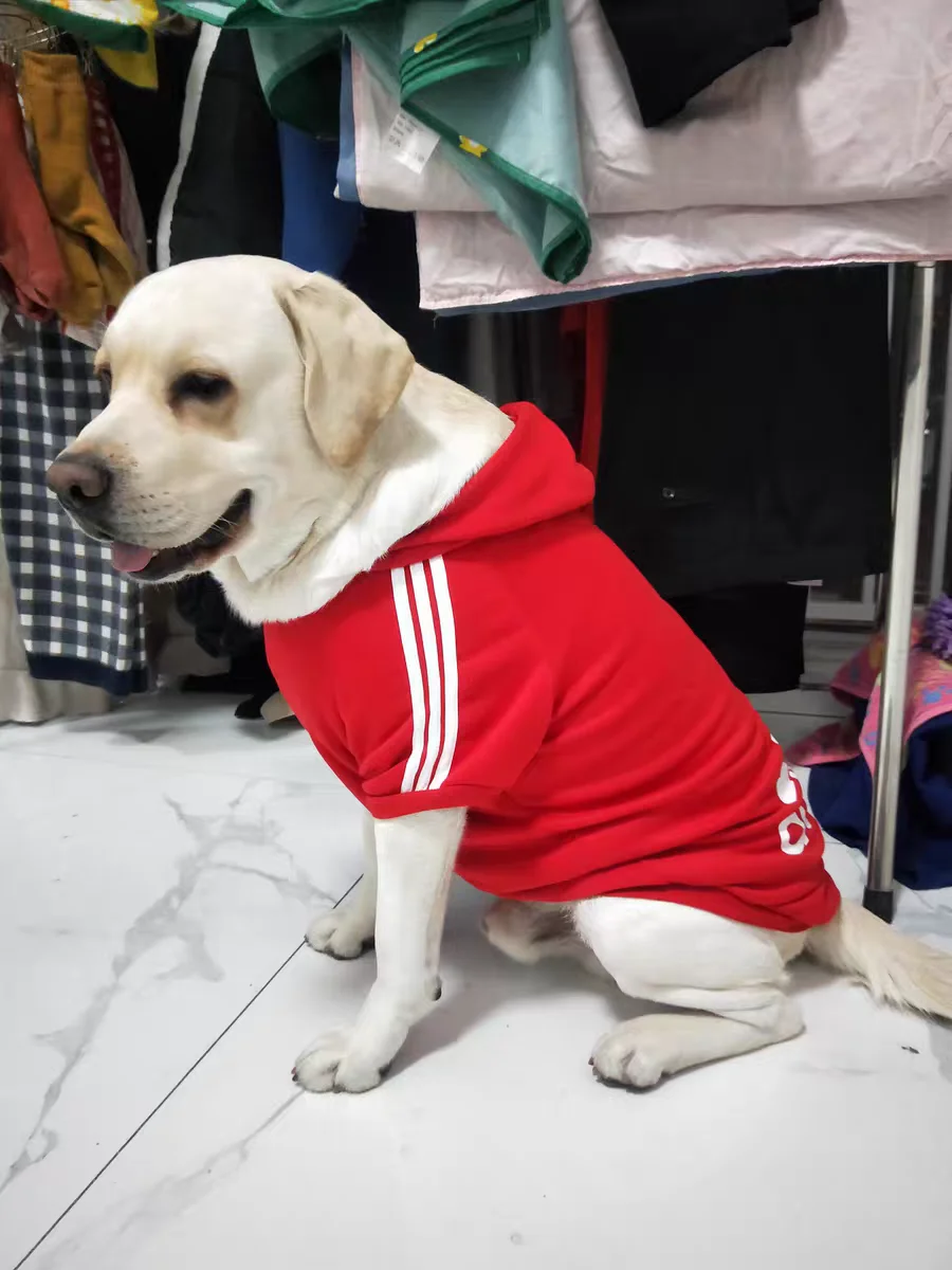 XS-9XL Adidog Одежда для собак для маленьких, средних и больших собак, хлопковая толстовка с капюшоном, хит продаж, теплая двуногая куртка для домашних животных