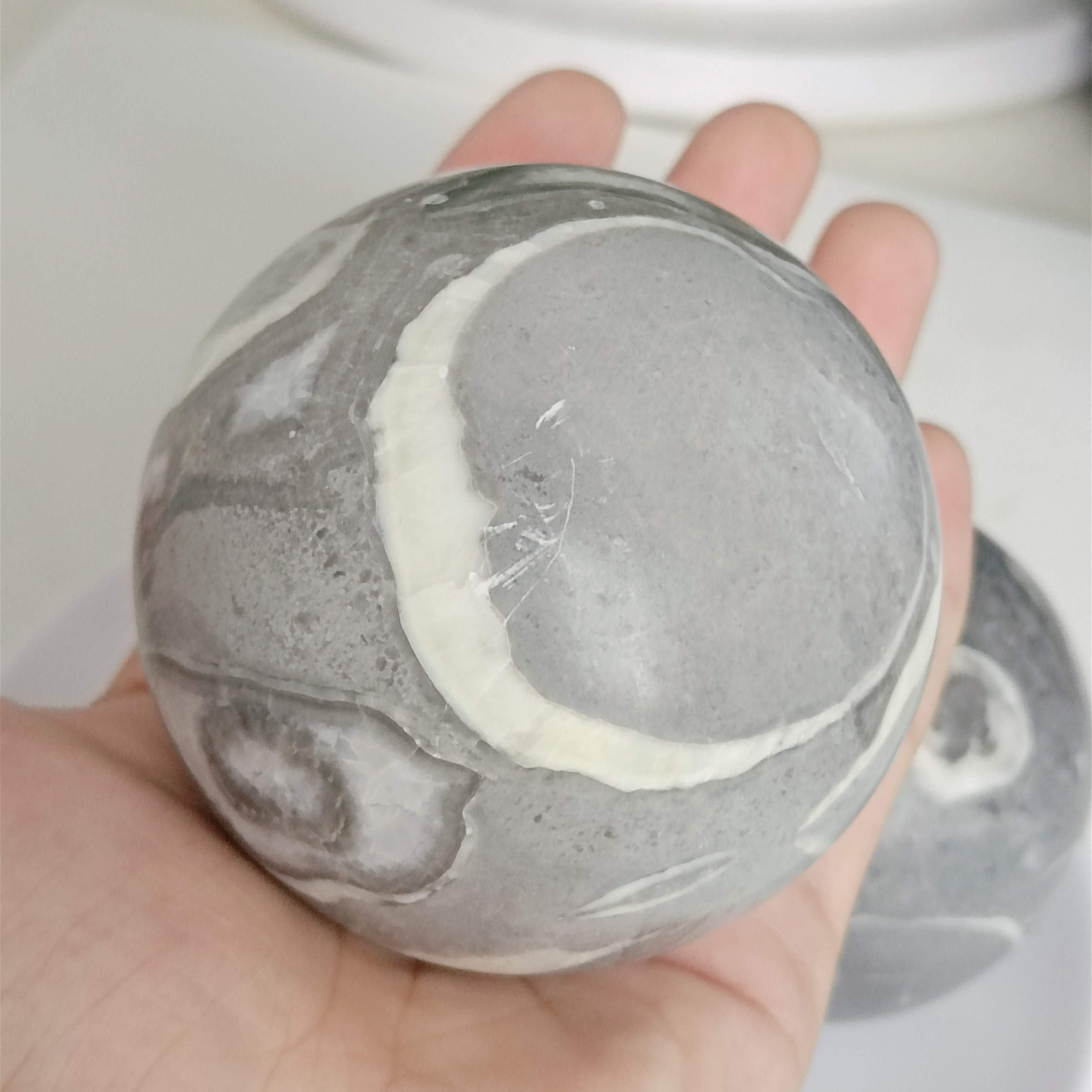 6-7Cm 1 Buah Kerang Alami Fosil Jasper Bola Mineral Kuarsa Bola Kristal Bola Penyembuhan Feng Shui Dekorasi Rumah Aksesori Kerajinan