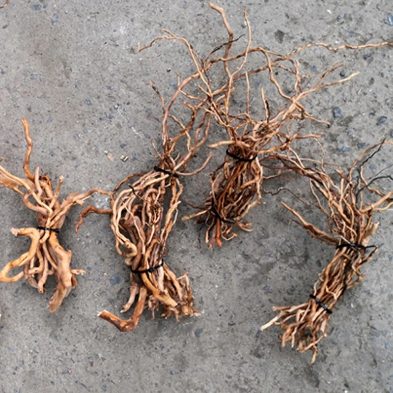 Acuario Micro paisaje Natural Driftwood raíz tronco árbol DIY hogar pecera adornos suministros