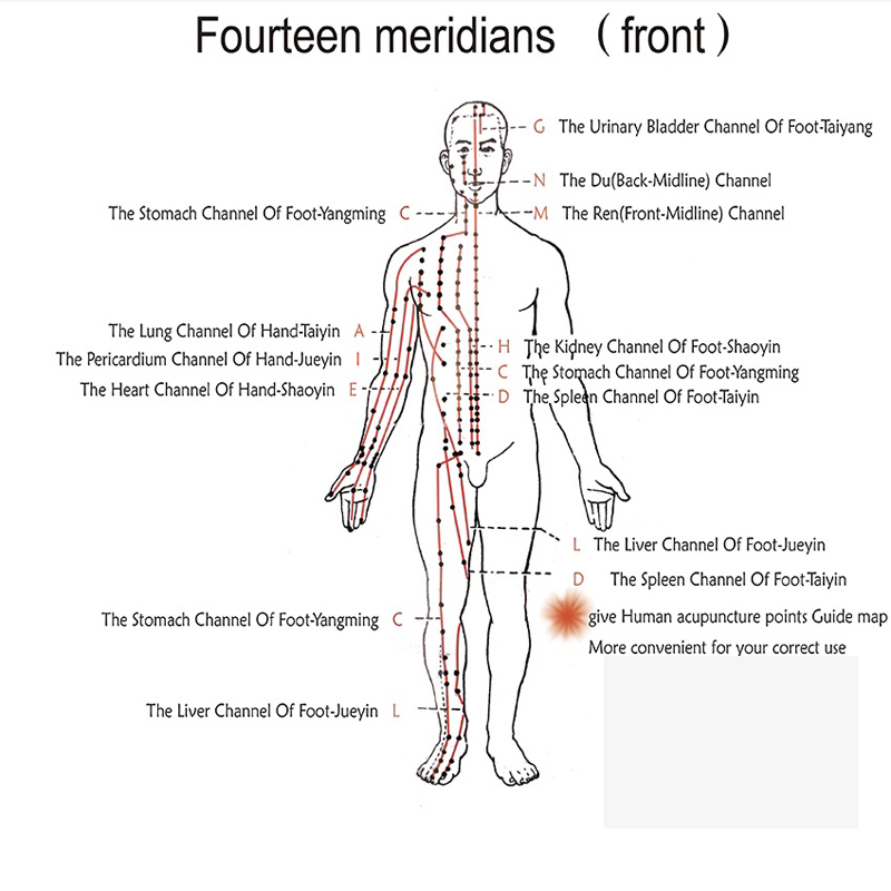 Electro การฝังเข็มเครื่องกระตุ้นประสาทและกล้ามเนื้อ Electroacupuncture therapy 6 รูปคลื่น 6 เอาต์พุต EMS Massager