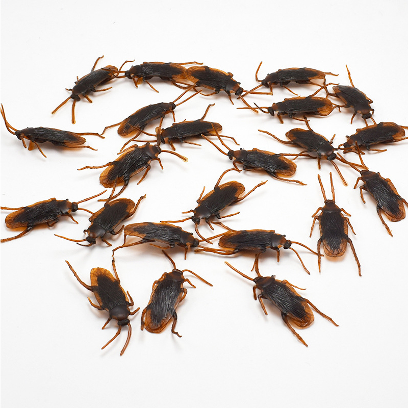 5PC jouet drôle faux cafard nouveauté cafards insectes insectes réalistes jouet farces Simulation délicat dégoût effrayant parodie jouet