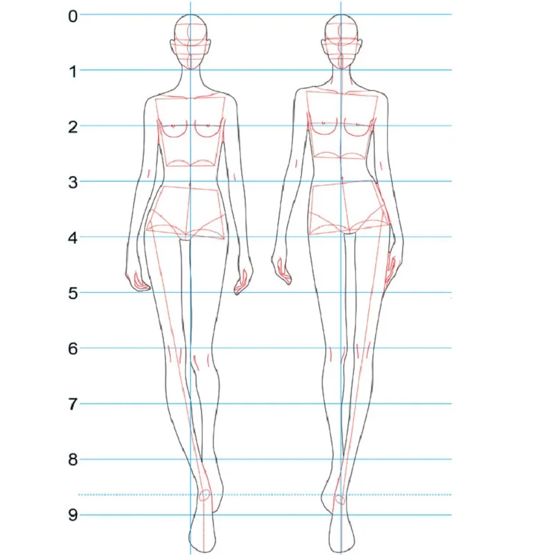 Fashion Ruler Fashion Line Drawing Human Dynamic Template for Cloth Rendering