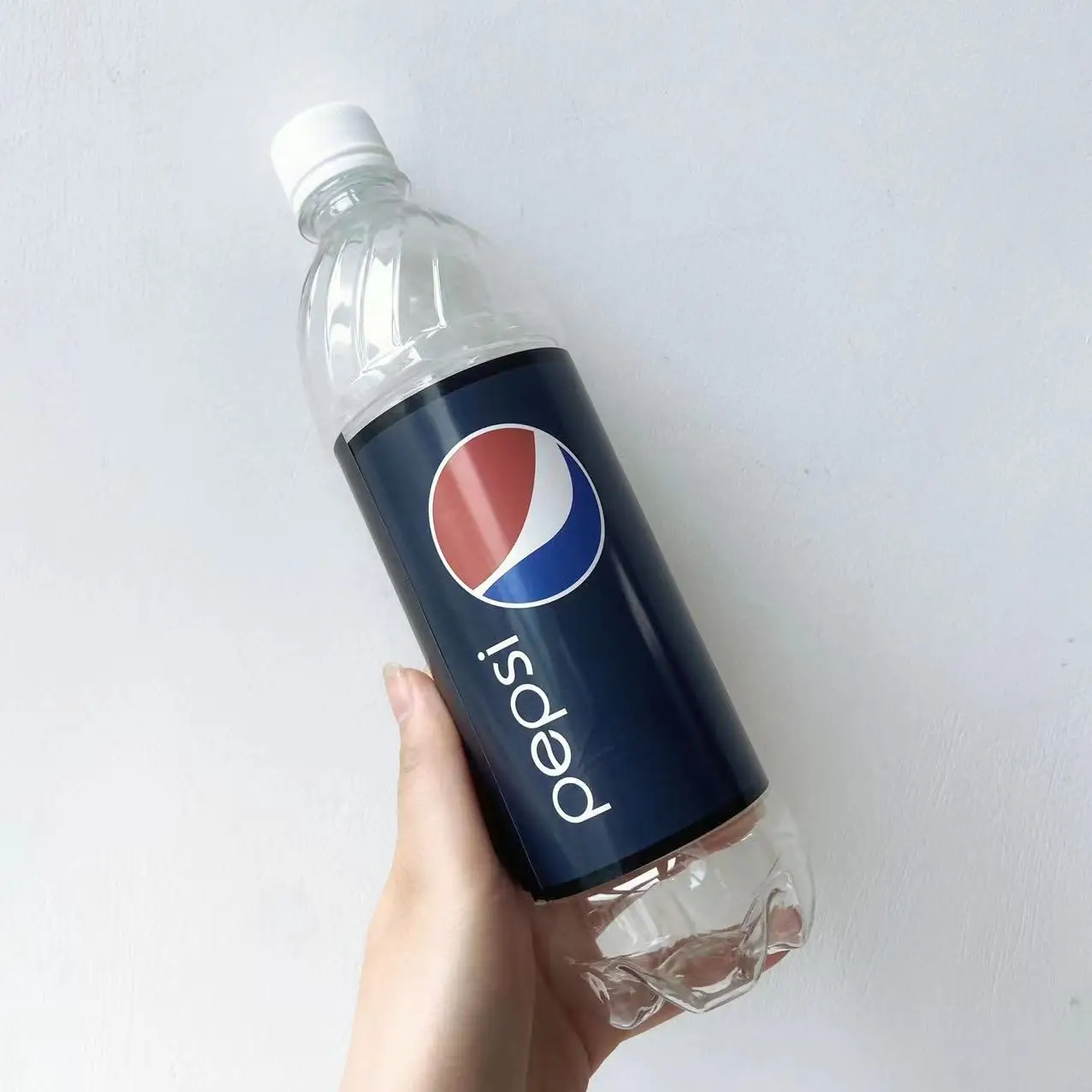 Stash Safe Water Bottle, Desvio Seguro DIY Garrafa Vazia com um Grau Alimentar, Saco à Prova de Cheiro