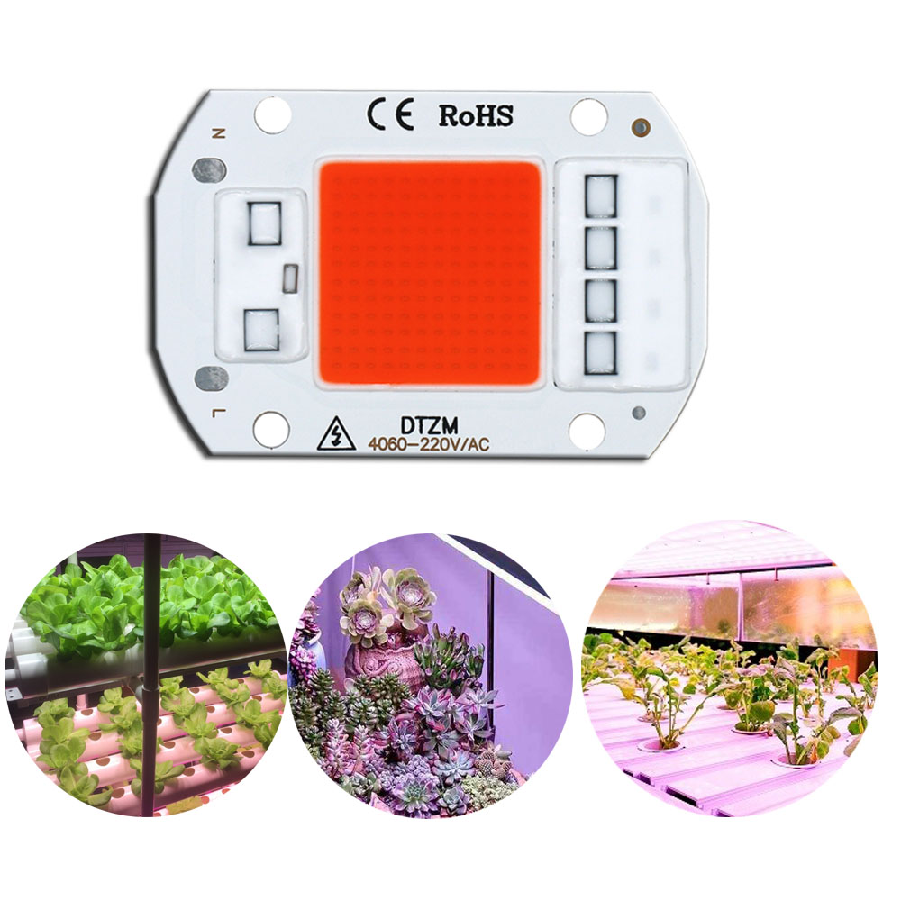 LED Grow Light Spectrum เต็ม COB ชิป LED AC220V ไม่จําเป็นต้องใช้ไดร์เวอร์ Phyto โคมไฟสําหรับโรงงานในร่ม Light ต้นกล้า Grow โคมไฟ
