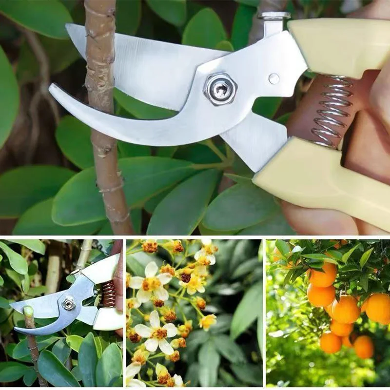 กรรไกรสแตนเลสตัดดอกไม้ตัดแต่งกิ่งผลไม้สวนสาขาตัดในครัวเรือน Grafting สวนกรรไกร