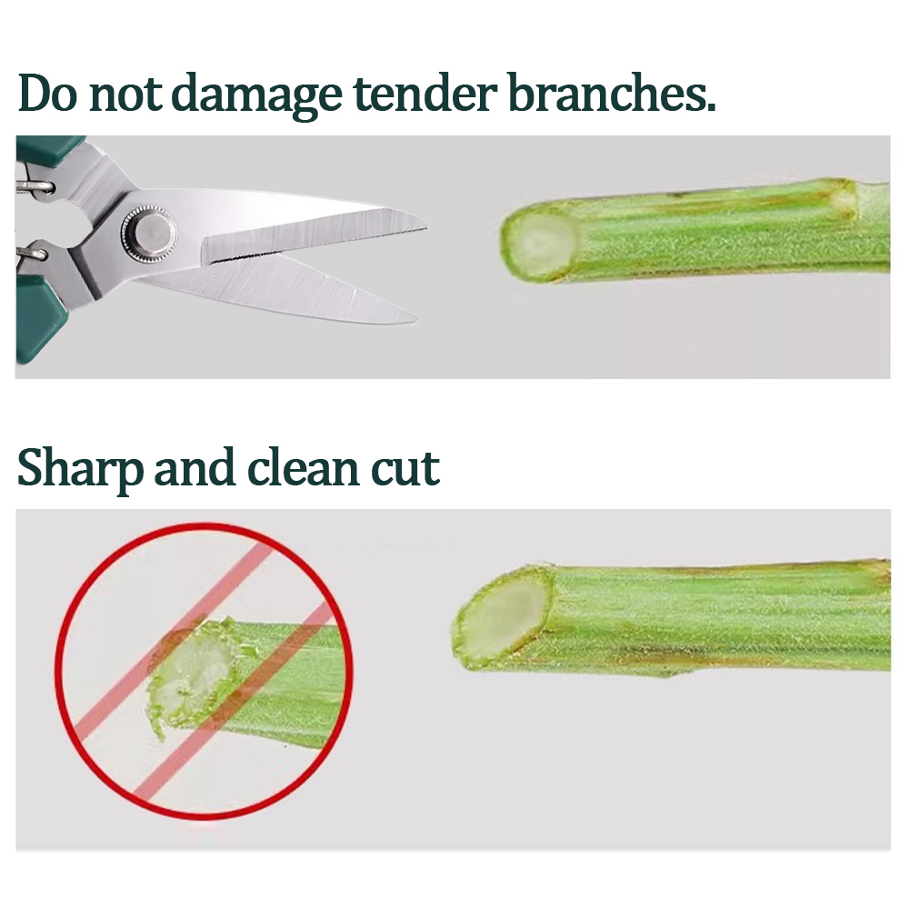 Tijeras de podar de cabeza recta, mango antideslizante, mango de acero inoxidable, tijeras de jardín para bonsái, recorte de ramas domésticas para vivero