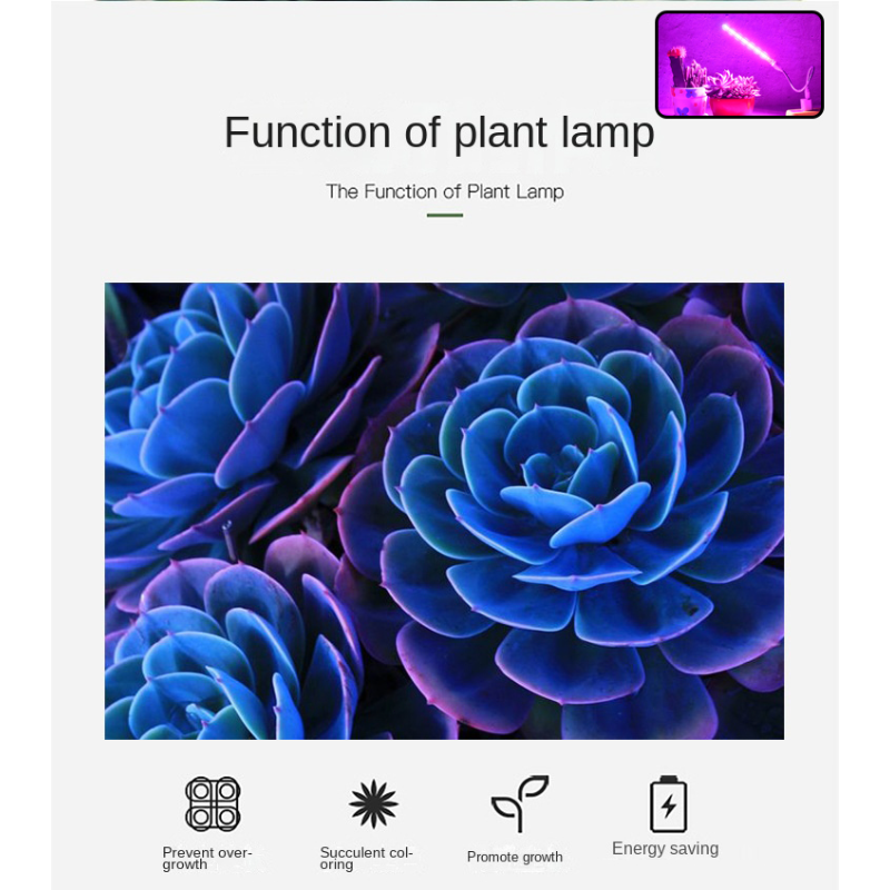 苗の成長のための柔軟なLED植物ランプ,フルスペクトル,水耕栽培用の植物ランプ,フルスペクトル