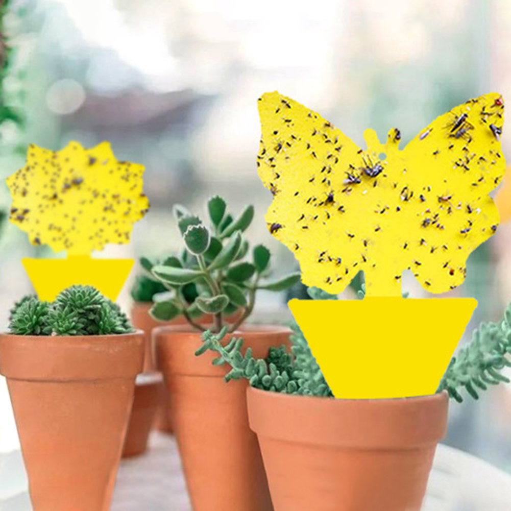 50-10Pcs Sticky Traps Fruit Fly Trap Yellow Sticky Bug Trap for Indoor Outdoor Use Insect Pest Control Garden Strong Glue Plant