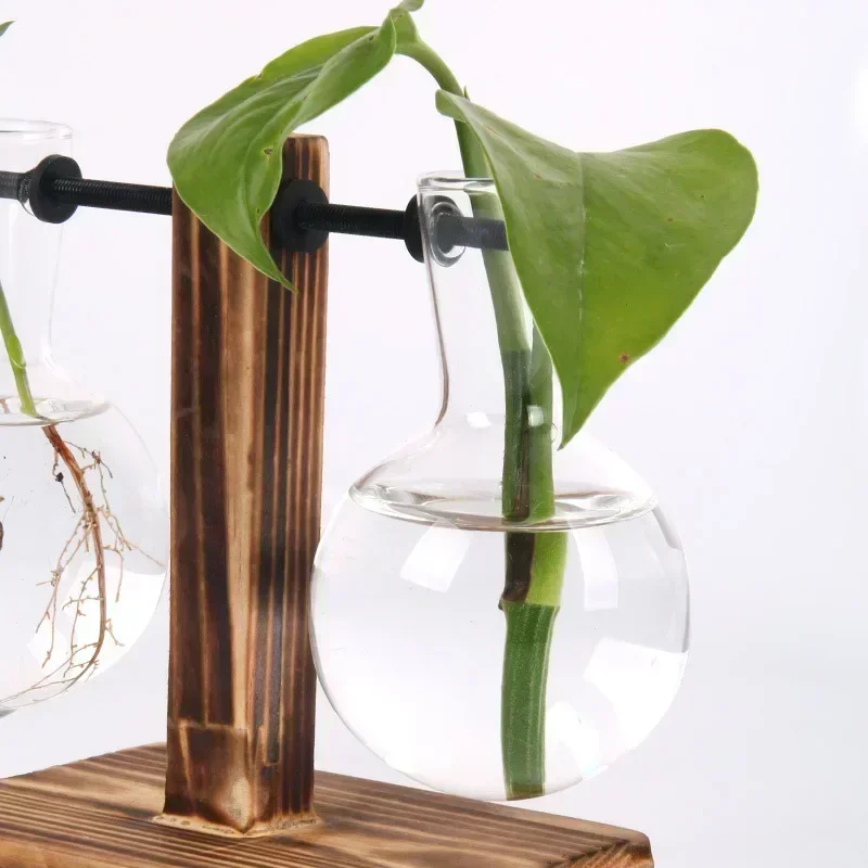 Vaso a bulbo trasparente con supporto in legno Fioriera in vetro da tavolo per piante idroponiche Coffee Shop Room Decor