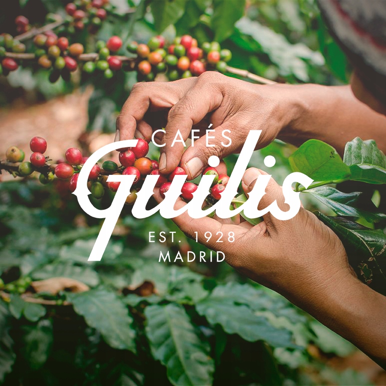 Kawa ziarnista 2kg zestaw MEZCLA ESPECIAL Cafeś Guilis