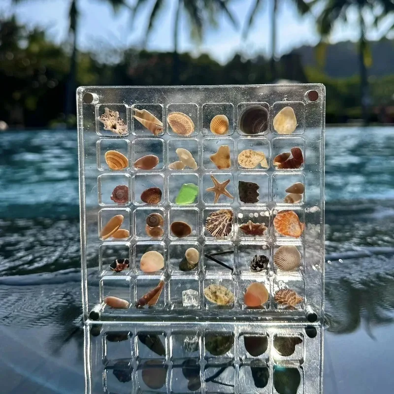 Hoge kwaliteit acryl schelp displaydoos met magneten Duurzame zeesterren Trinket opbergdoos voor kraal nagel sieraden cadeau